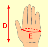 手のサイズ