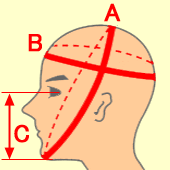 頭のサイズ